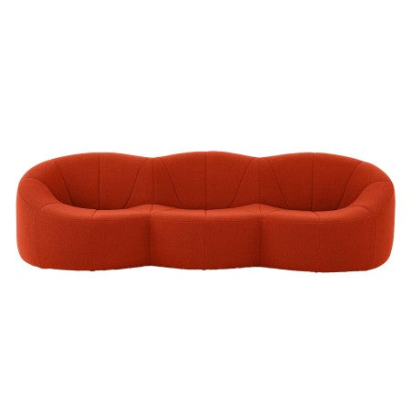 3P ロゼパンプキン Cランク